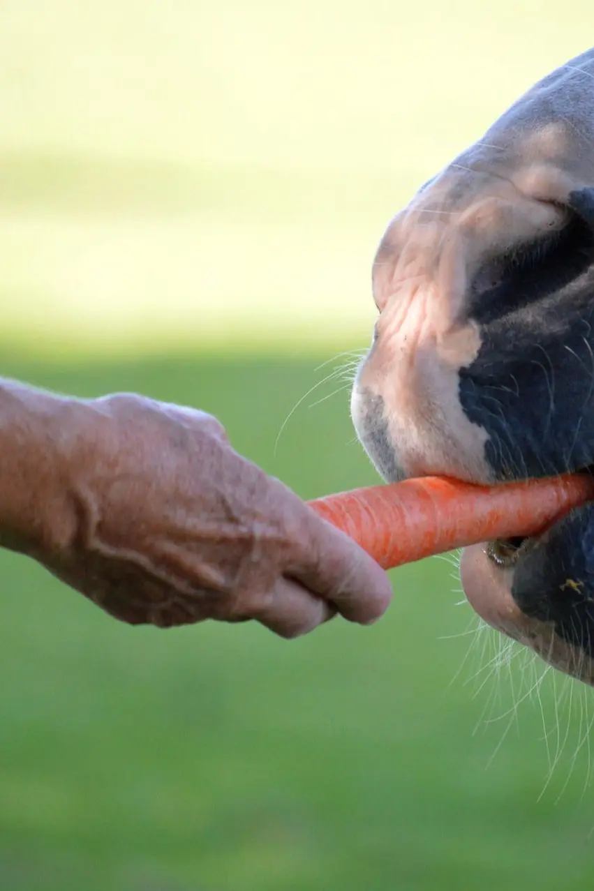 Ein cleverer Weg zur finanziellen Sicherheit